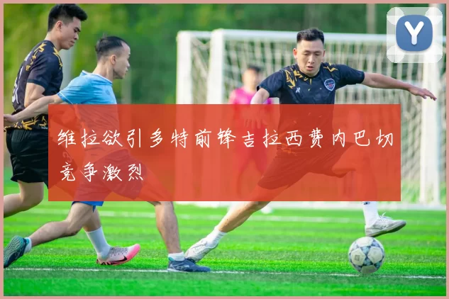 维拉欲引多特前锋吉拉西费内巴切竞争激烈