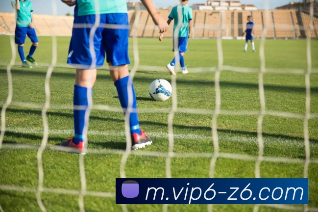 App Interface Preview