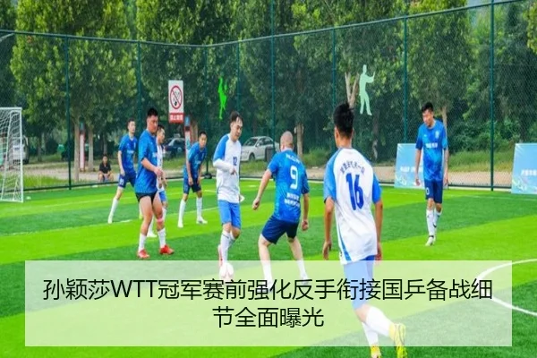 孙颖莎WTT冠军赛前强化反手衔接国乒备战细节全面曝光